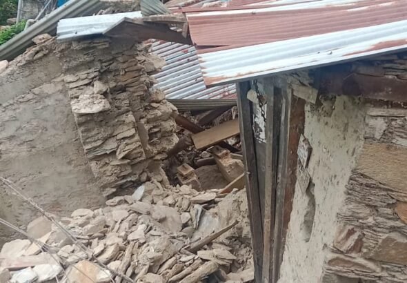 d 5
